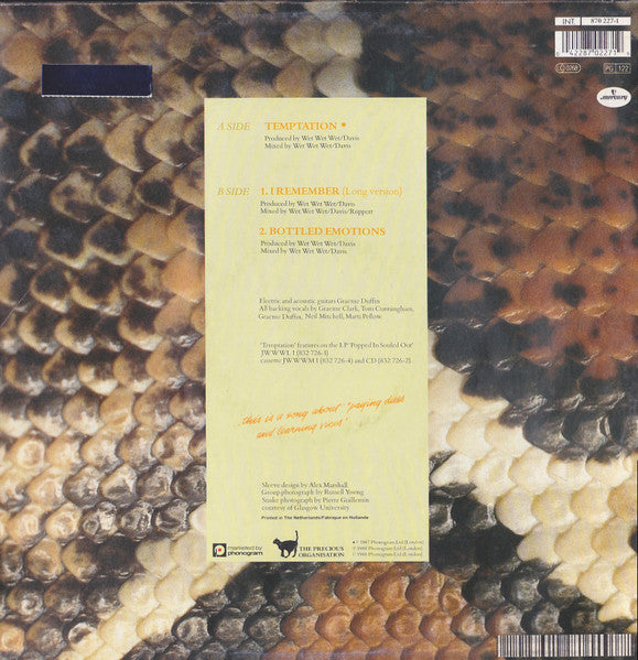 Wet Wet Wet : Temptation (12")