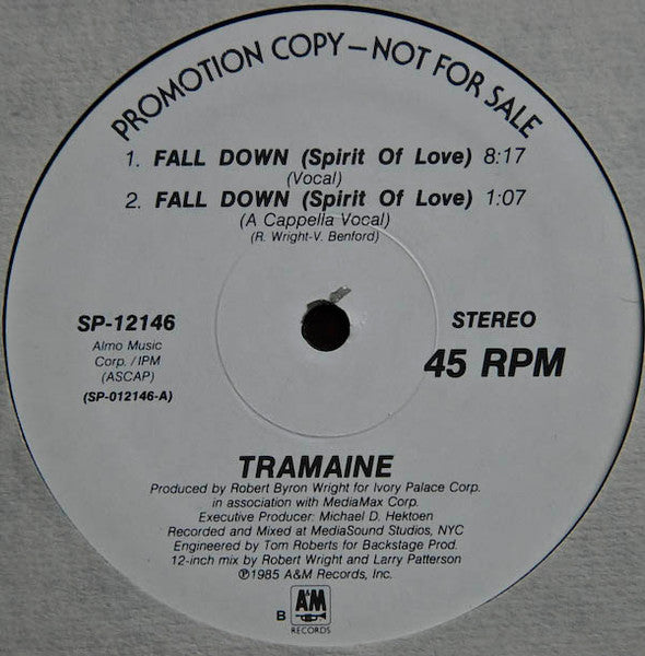 Tramaine Hawkins : Fall Down (Spirit Of Love) (12", Promo)