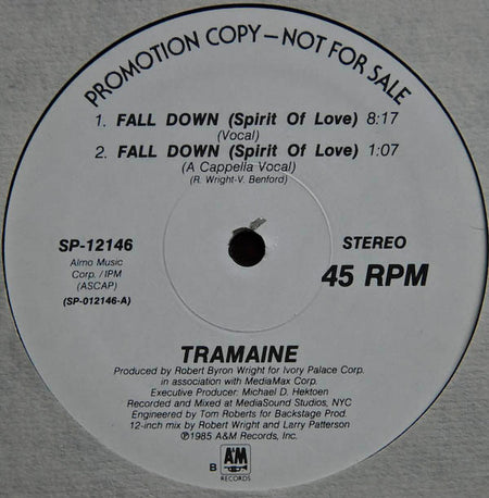 Tramaine Hawkins : Fall Down (Spirit Of Love) (12", Promo)