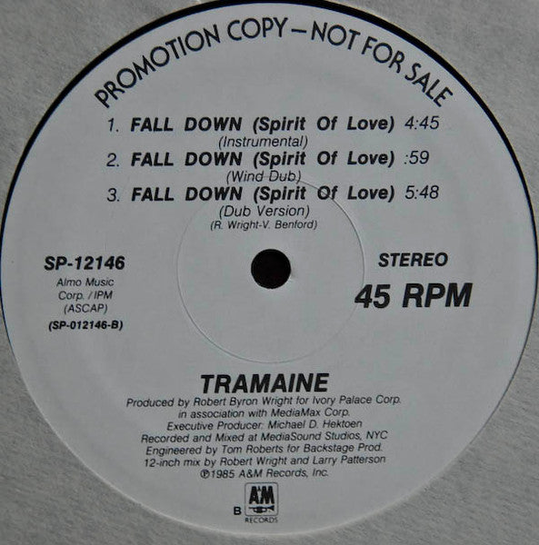 Tramaine Hawkins : Fall Down (Spirit Of Love) (12", Promo)