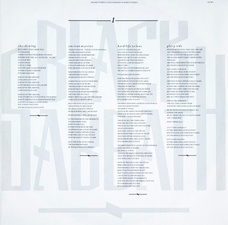 Black Sabbath : The Eternal Idol (LP, Album)