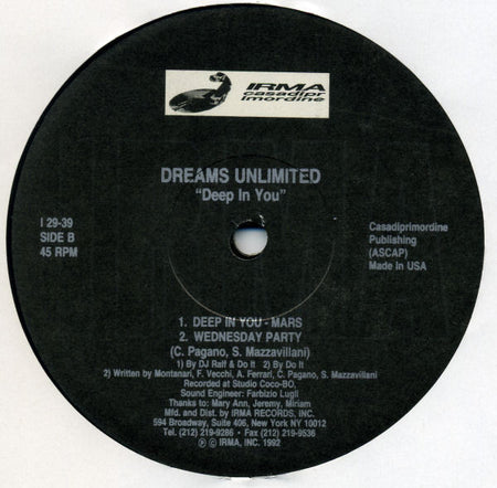 Dreams Unlimited : Deep In You (12")