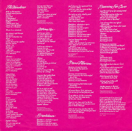 Donna Summer : The Wanderer (LP, Album)