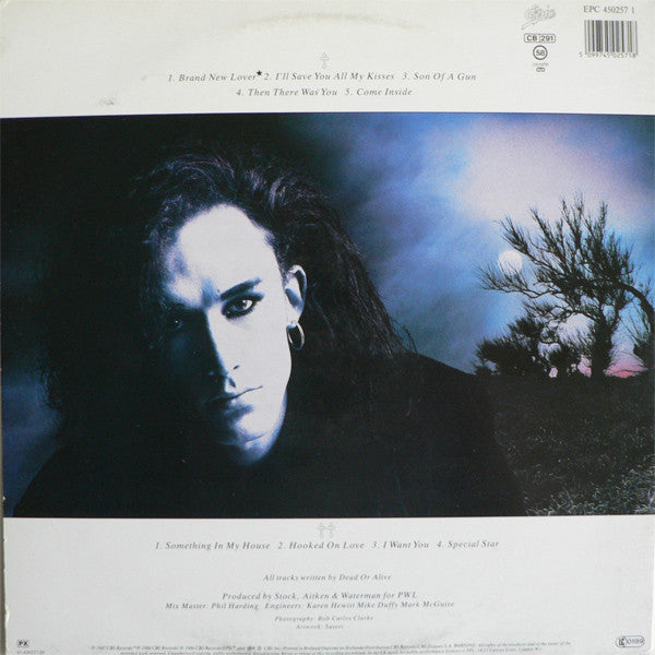 Dead Or Alive : Mad, Bad And Dangerous To Know (LP, Album, Gat)