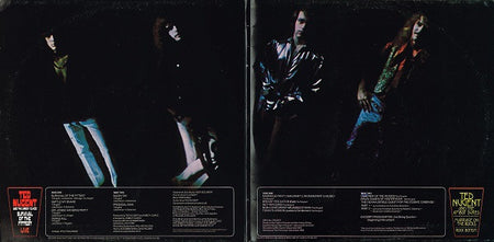 Ted Nugent & The Amboy Dukes : Survival Of The Fittest / Marriage On The Rocks (2xLP, Comp)