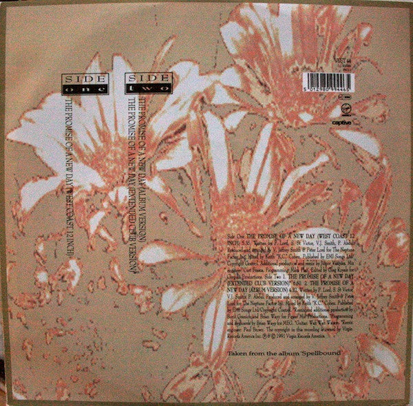 Paula Abdul : The Promise Of A New Day (12")