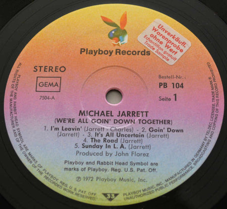 Michael Jarrett (2) : We're All Going Down Together (LP)