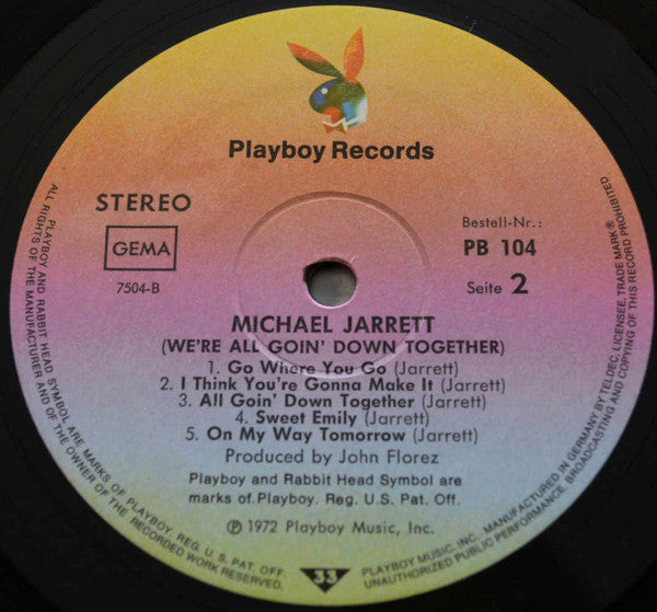 Michael Jarrett (2) : We're All Going Down Together (LP)