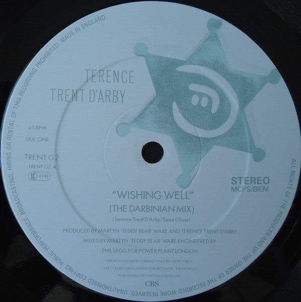 Terence Trent D'Arby : Wishing Well (The Darbinian Mix) (12")