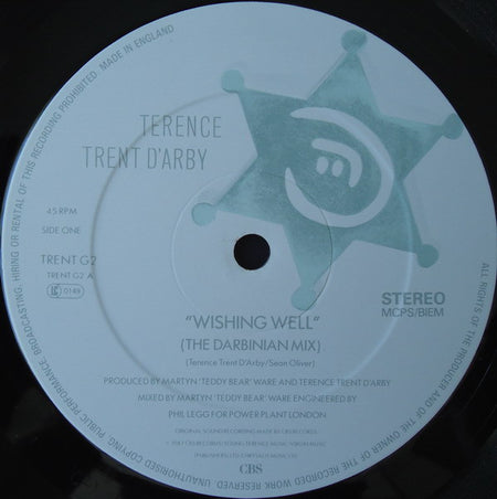 Terence Trent D'Arby : Wishing Well (The Darbinian Mix) (12")