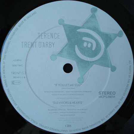 Terence Trent D'Arby : Wishing Well (The Darbinian Mix) (12")