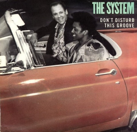 The System : Don't Disturb This Groove (12")