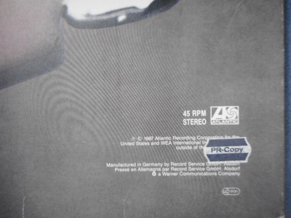 The System : Don't Disturb This Groove (12")