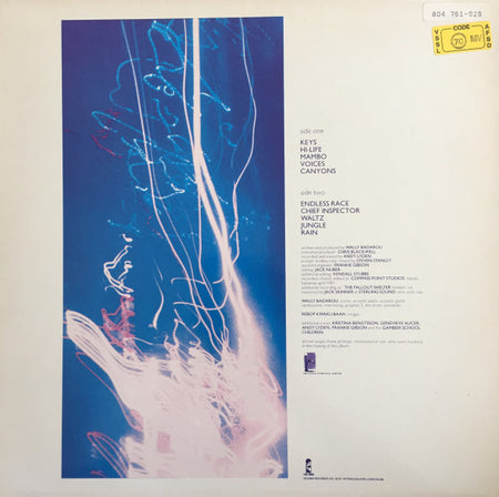 Wally Badarou : Echoes (LP, Album)