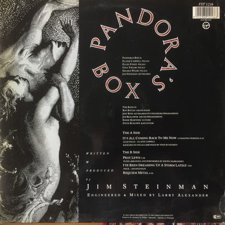 Pandora's Box (2) : It's All Coming Back To Me Now (12")
