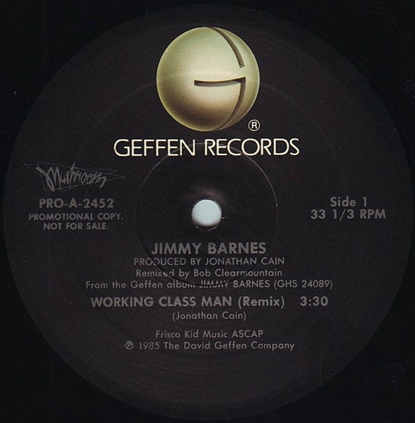 Jimmy Barnes : Working Class Man (12", Single, Promo)