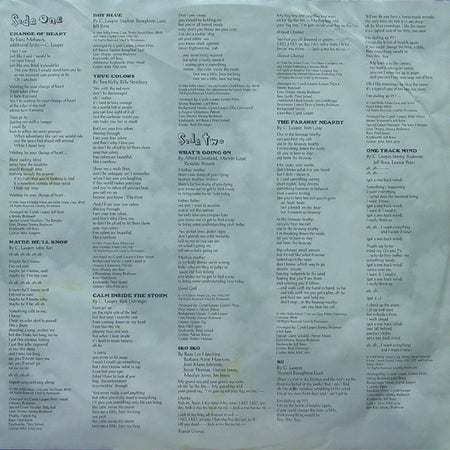 Cyndi Lauper : True Colors (LP, Album, Car)