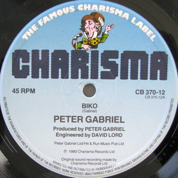 Peter Gabriel : Biko (12", Single)