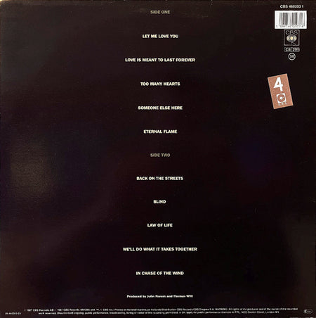 John Norum : Total Control (LP, Album)