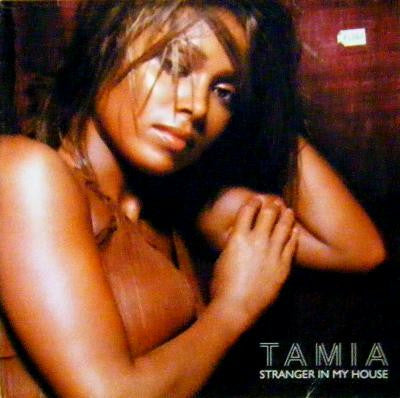 Tamia : Stranger In My House (2x12")