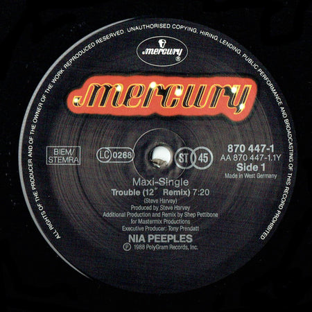 Nia Peeples : Trouble (12", Maxi)