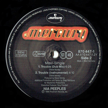 Nia Peeples : Trouble (12", Maxi)