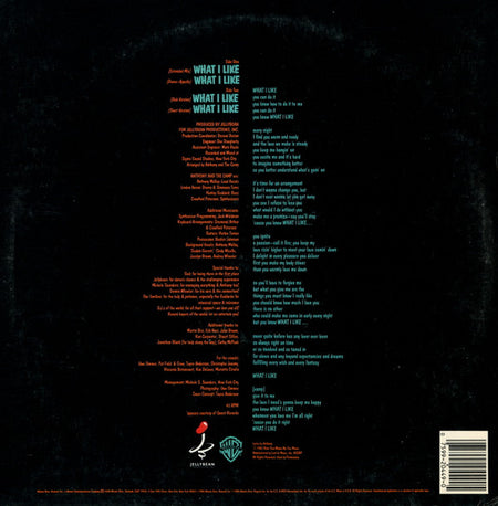 Anthony And The Camp : What I Like (12")
