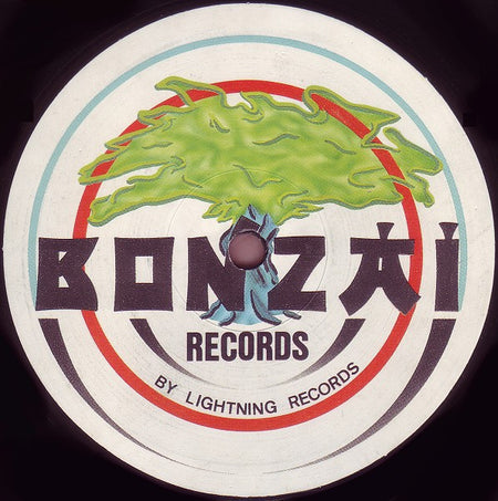 Jones & Stephenson : The First Rebirth (12")