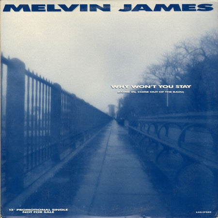 Melvin James : Why Won't You Stay (Come In, Come Out Of The Rain) (12", Promo)