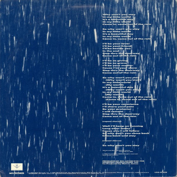 Melvin James : Why Won't You Stay (Come In, Come Out Of The Rain) (12", Promo)