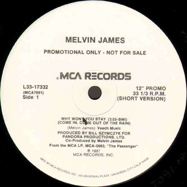 Melvin James : Why Won't You Stay (Come In, Come Out Of The Rain) (12", Promo)