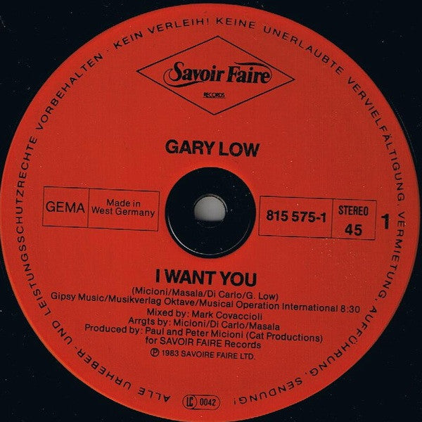 Gary Low : I Want You (12", Maxi)