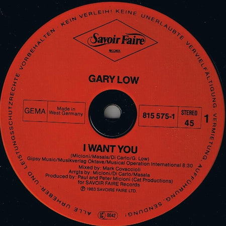 Gary Low : I Want You (12", Maxi)
