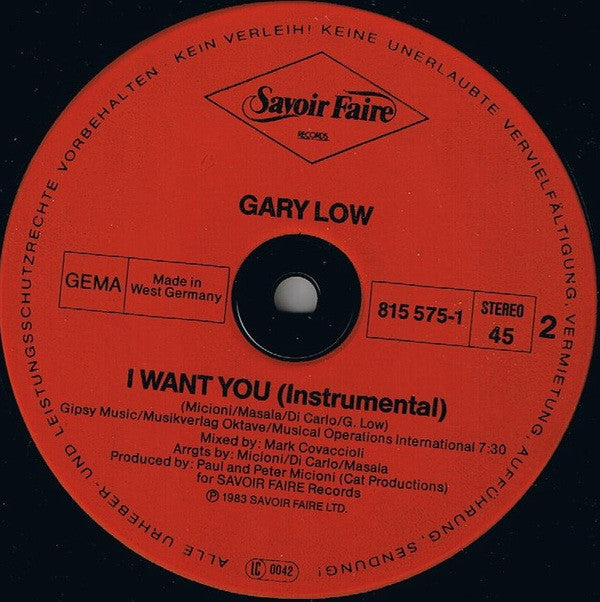 Gary Low : I Want You (12", Maxi)