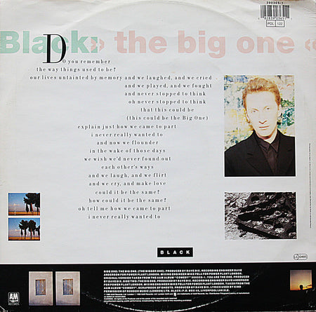 Black (2) : The Big One (12")