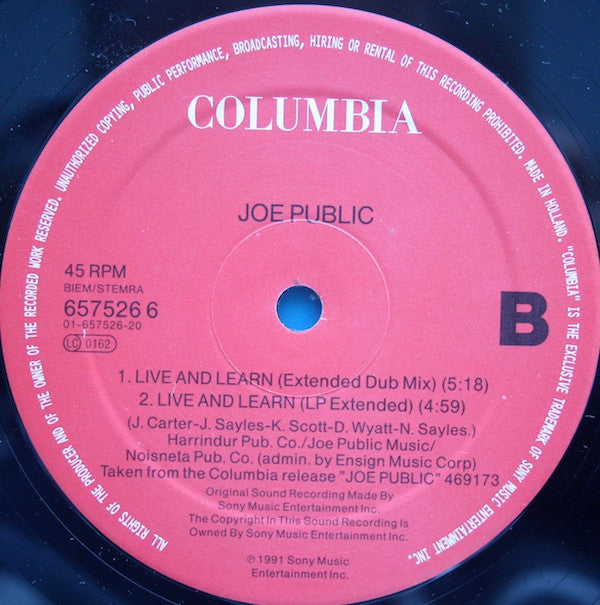 Joe Public : Live And Learn (12")