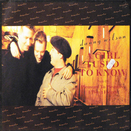 Danny Wilson (2) : A Girl I Used To Know (12", Maxi)