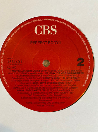 Various : Perfect Body 2 (LP, Comp)