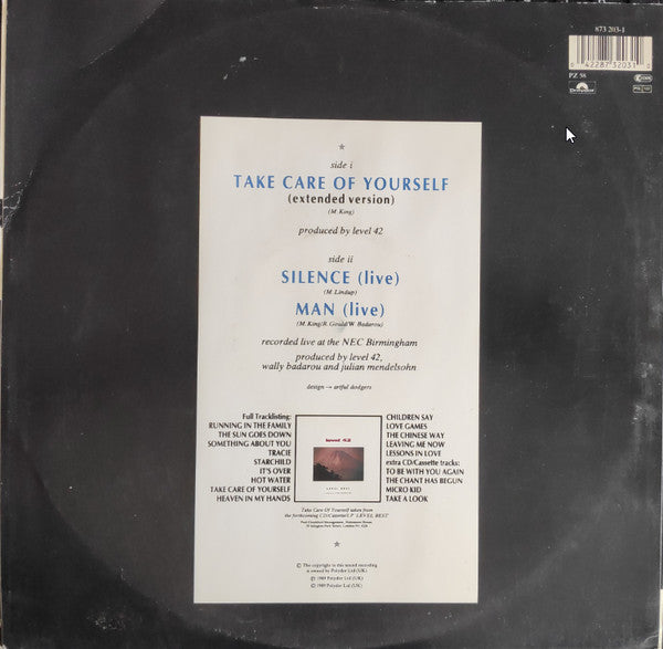 Level 42 : Take Care Of Yourself (12")