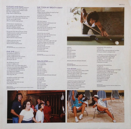 Gillan & Glover : Accidentally On Purpose (LP, Album)