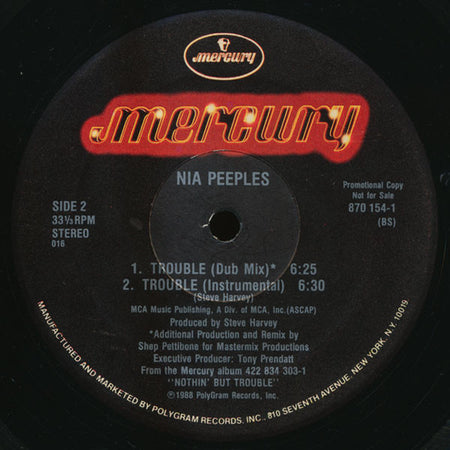Nia Peeples : Trouble (12", Single, Promo)