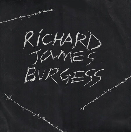 Richard James Burgess : Richard James Burgess (LP, MiniAlbum, Win)