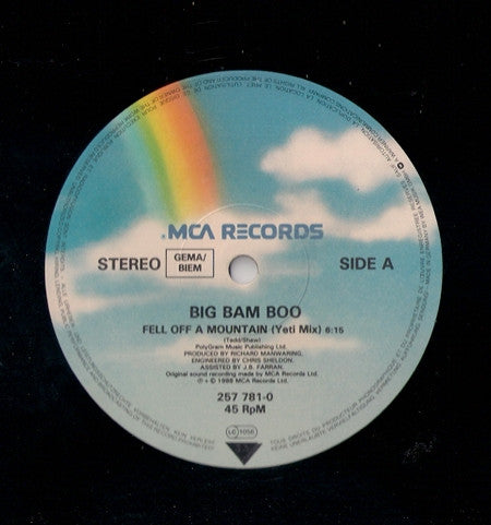 Big Bam Boo : Fell Off A Mountain (12")