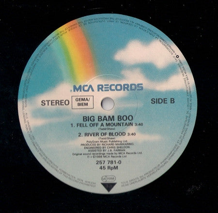 Big Bam Boo : Fell Off A Mountain (12")