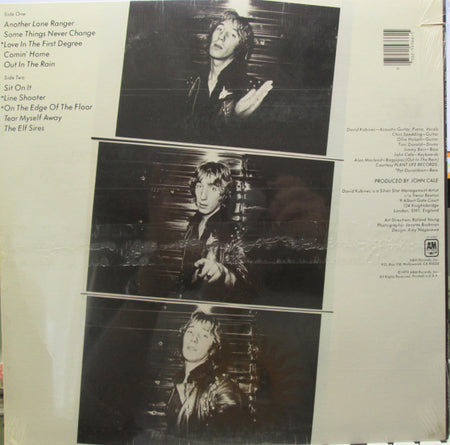 David Kubinec : Some Things Never Change (LP, Album)