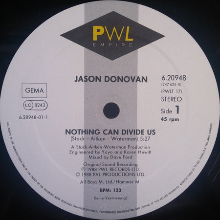 Jason Donovan : Nothing Can Divide Us (12", Maxi)