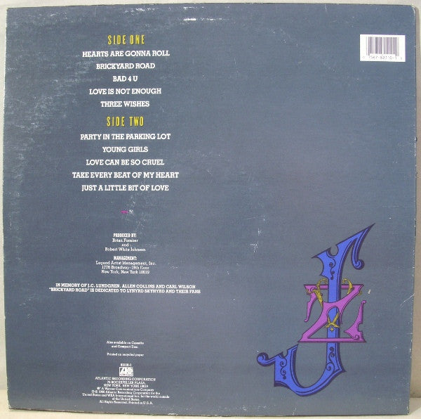 Johnny Van Zant : Brickyard Road (LP, Album)
