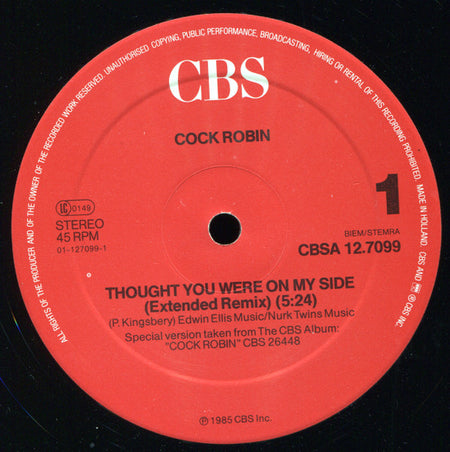 Cock Robin : Thought You Were On My Side (Extended Re-mix) (12", Maxi)