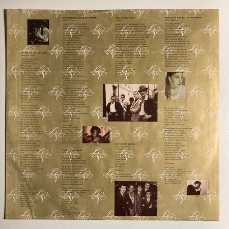 Les Negresses Vertes : Famille Nombreuse (LP, Album)