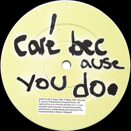 Aphex Twin : ...I Care Because You Do (2xLP, Album)